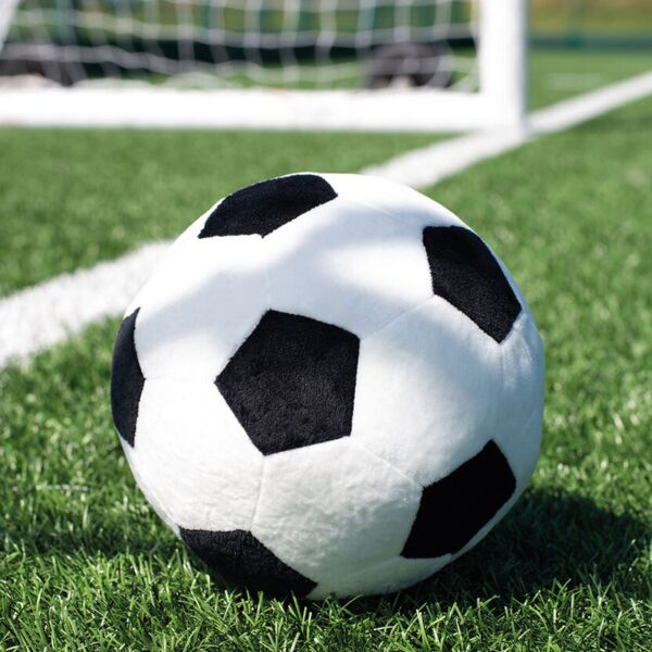 Zippie football Thumbnail